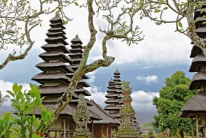 Bali: Green and Heritage West Trip Private Tour, Luxury Car