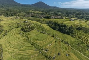Bali: Green and Heritage West Trip Private Tour, Luxury Car