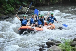Bali: esperienza di rafting nella Bali verde con trasferimento dall'hotel