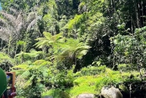 Bali: esperienza di rafting nella Bali verde con trasferimento dall'hotel