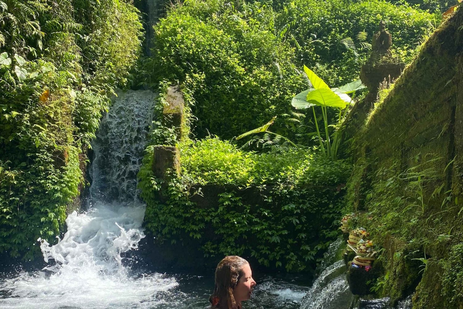 Bali: Ritual da Água Griya Beji, Floresta dos Macacos e Baloiço