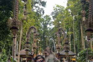 Bali: Ritual da Água Griya Beji, Floresta dos Macacos e Baloiço