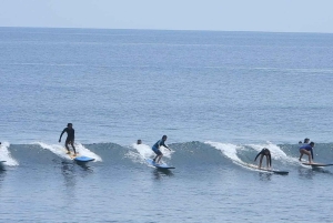 Bali: Gruppesurfing for nybegynnere med videoanalyse