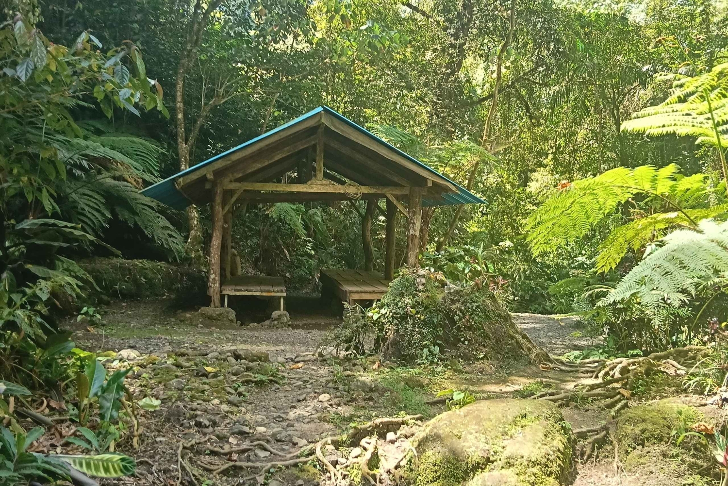 Bali: Guided Hike to 6 Hidden Waterfalls with Picnic Lunch