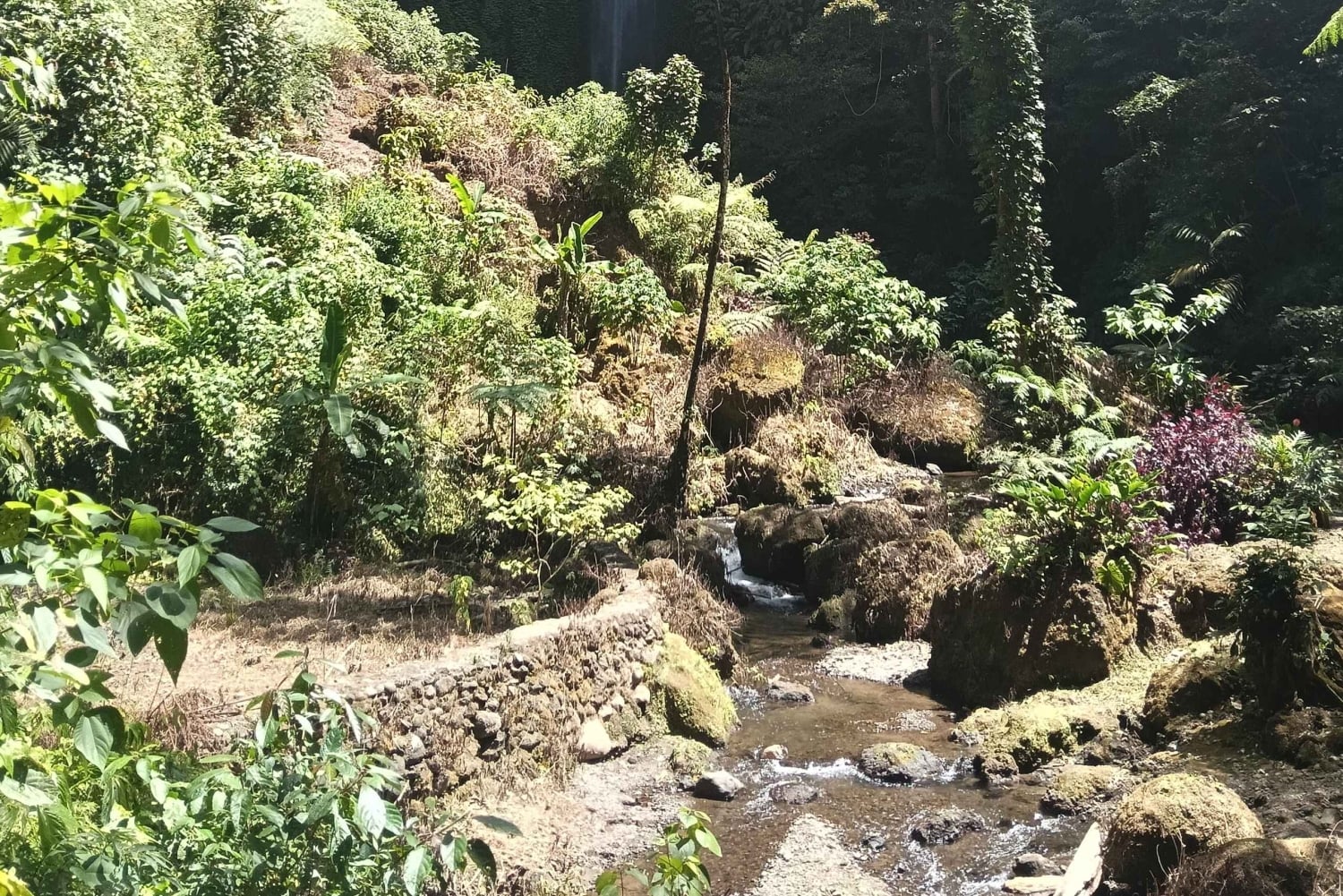 Bali: Guided Hike to 6 Hidden Waterfalls with Picnic Lunch