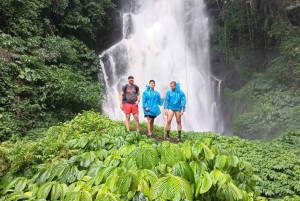 Bali: Guided Hike to 6 Hidden Waterfalls with Picnic Lunch
