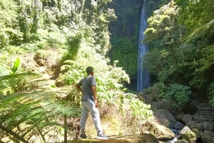 Bali: Guided Hike to 6 Hidden Waterfalls with Picnic Lunch
