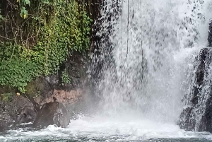 Bali: Guided Hike to 6 Hidden Waterfalls with Picnic Lunch