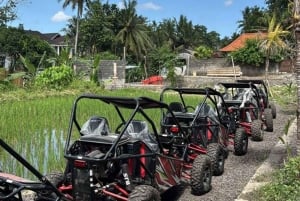 Bali: Guided Off-Road UTV Buggy Ride with Documentation