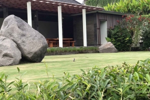 Bali: Guided Sunrise Mt Batur Hike, Cretya Pool & Alas Harum