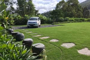 Bali: Guided Sunrise Mt Batur Hike, Cretya Pool & Alas Harum