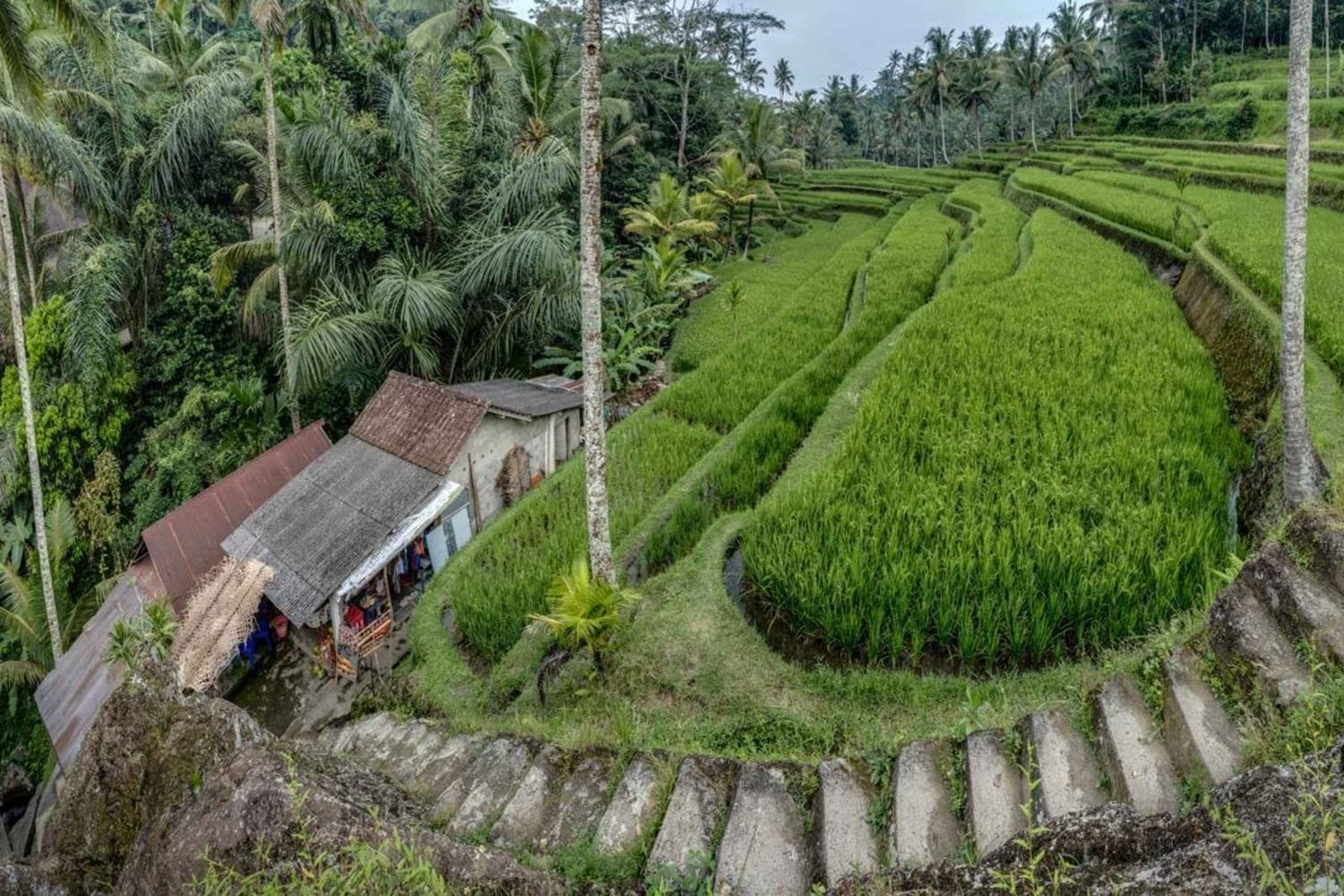 Bali: Gunung Kawi Temple & Pakerisan UNESCO Guided Tour