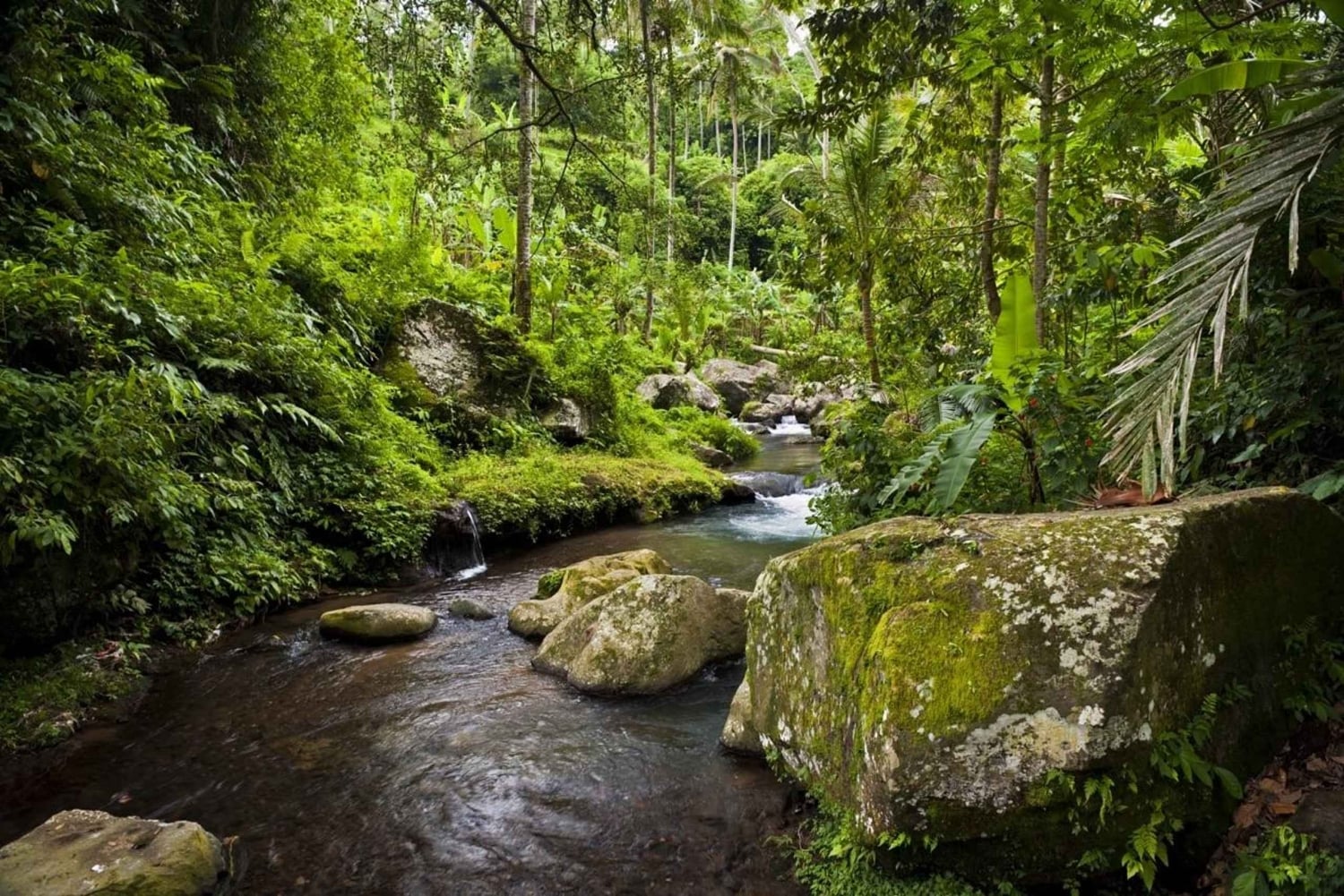 Bali: Gunung Kawi Temple & Pakerisan UNESCO Guided Tour