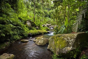 Bali: Gunung Kawi Tempel & Pakerisan UNESCO Führung