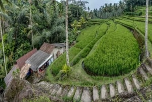 Bali: Gunung Kawi Temple & Pakerisan UNESCO Guided Tour