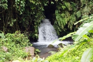 Bali: Gunung Kawi Temple & Pakerisan UNESCO Guided Tour