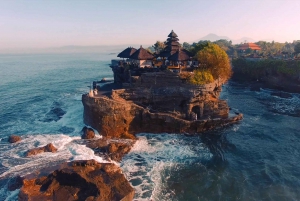 Bali: Half-Day Private City Tour with Transfers