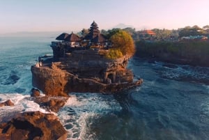 Bali: Half-Day Private City Tour with Transfers