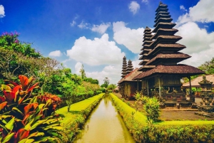 Bali: Tour di mezza giornata del Tempio di Tanah Lot al tramonto