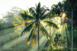 Bali : Handcrafted Silver Jewelry, Waterfall & Rice Terraces