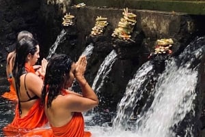 Bali: Healing Immersion Ubud Balinese Wellness + Lunch