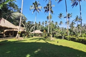 Bali: Heritage & Nature Escape Private Tour (All-Inclusive)