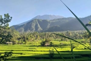 Bali: Heritage & Nature Escape Private Tour (All-Inclusive)