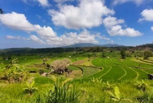 Bali: Heritage & Nature Escape Private Tour (All-Inclusive)