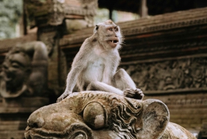 Bali Heritage: Taman Ayun, Monkeys, & Tanah Lot Sunset