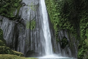 Bali: Hidden And New Secret Waterfalls All Including