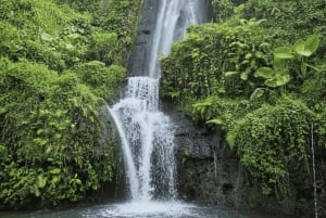 Bali: Hidden And New Secret Waterfalls All Including