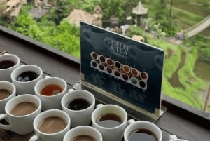 Bali: Hidden And New Secret Waterfalls All Including