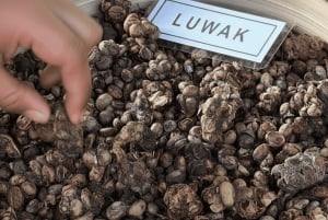 Bali: Hidden And New Secret Waterfalls All Including