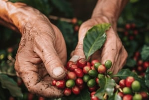 Bali: Hidden And New Secret Waterfalls All Including