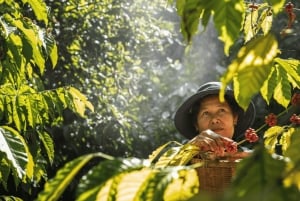 Bali: Hidden And New Secret Waterfalls All Including