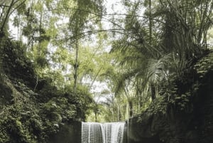 Bali: Hidden And New Secret Waterfalls All Including
