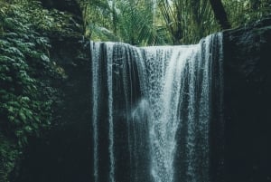 Bali: Hidden And New Secret Waterfalls All Including