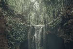 Bali: Hidden And New Secret Waterfalls All Including