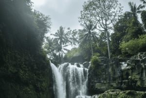 Bali: Hidden And New Secret Waterfalls All Including