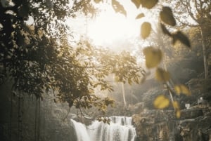 Bali: Hidden And New Secret Waterfalls All Including