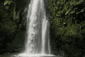 Bali: Hidden And New Secret Waterfalls All Including