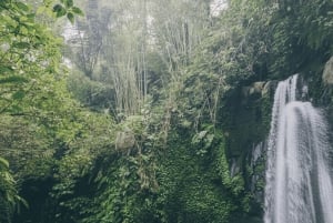 Bali: Hidden And New Secret Waterfalls All Including
