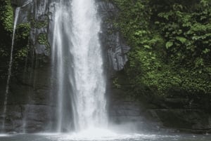Bali: Hidden And New Secret Waterfalls All Including