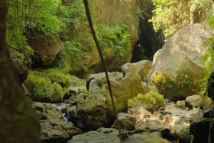 Bali: Vandringsäventyr i den dolda kanjonen Beji Guwang