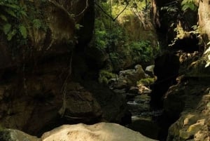 Bali: Vandringsäventyr i den dolda kanjonen Beji Guwang