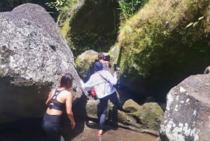 Bali: Cañón Escondido, Cascada y Templos Tour en grupo reducido