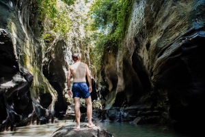 Bali: Hidden Canyon, Waterfall & Temples Small Group Tour