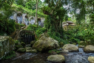 Bali: Hidden Canyon, Waterfall & Temples Small Group Tour