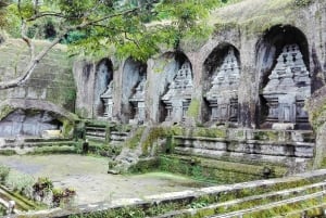 Bali: Hidden Canyon, Waterfall & Temples Small Group Tour