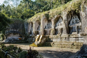 Bali: Hidden Canyon, Waterfall & Temples Small Group Tour